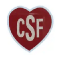 Schools trust Skoolix (36)